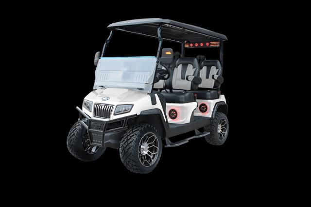 Rental store for golf cart in Lawrence County